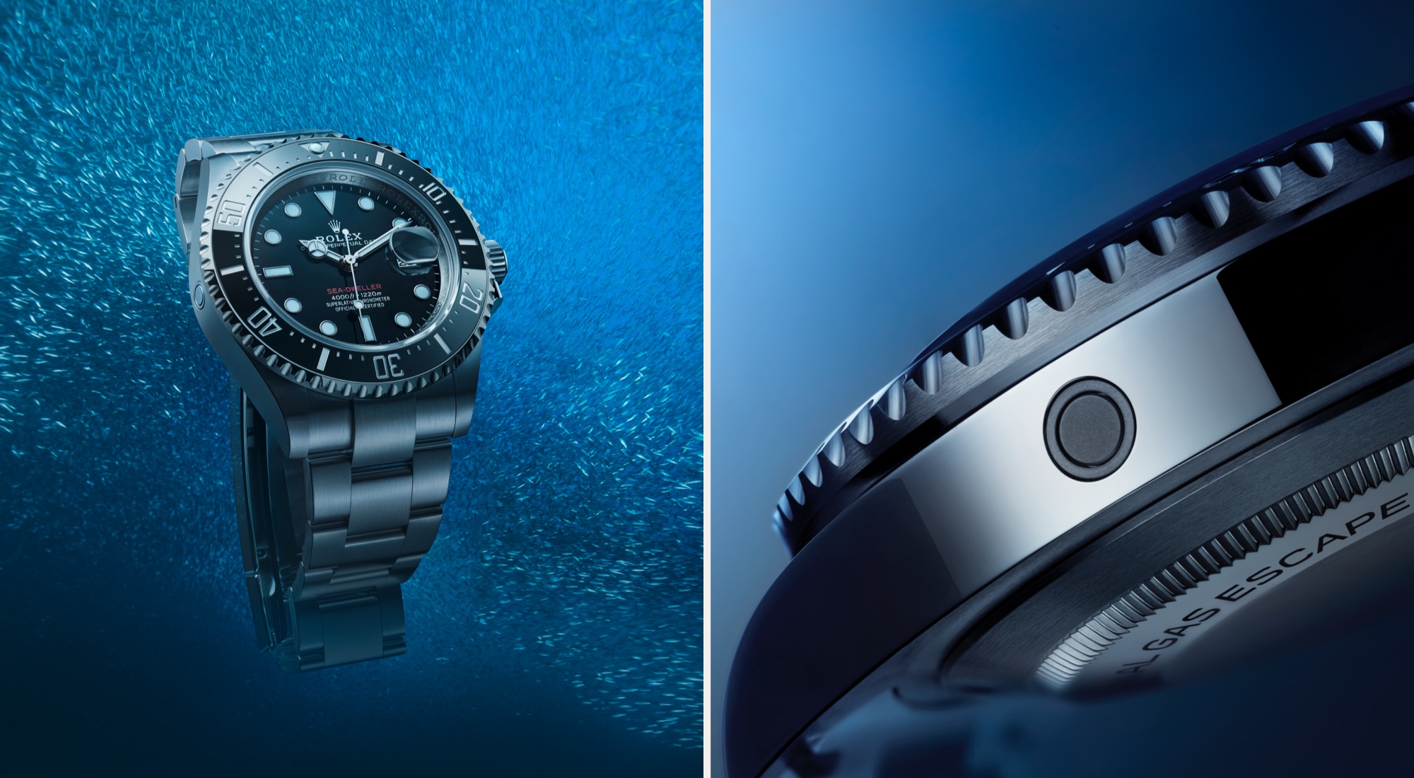 sea-dweller-first-image