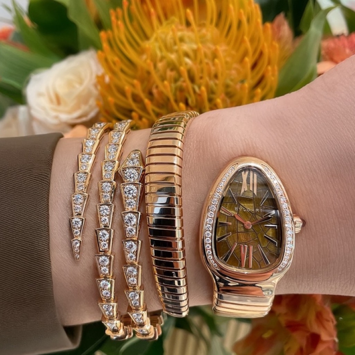 Bvlgari Elegance On Full Display